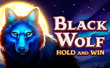 Игровой автомат Black Wolf